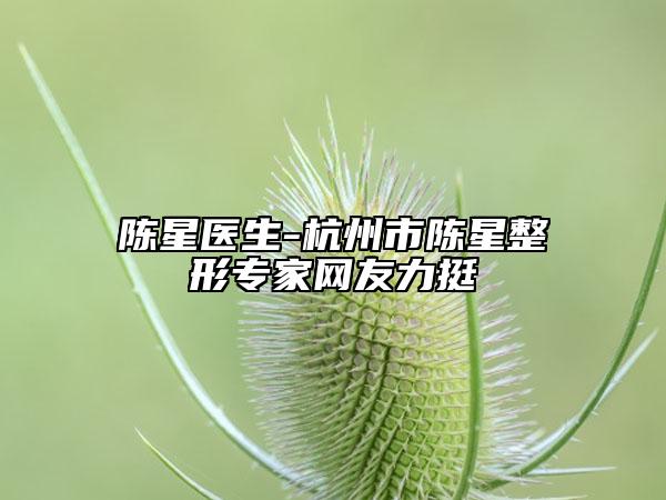 陳星醫(yī)生-杭州市陳星整形專(zhuān)家網(wǎng)友力挺