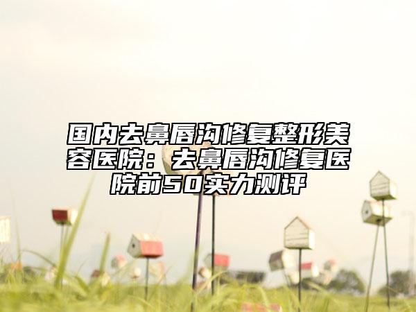 國內(nèi)去鼻唇溝修復(fù)整形美容醫(yī)院：去鼻唇溝修復(fù)醫(yī)院前50實力測評