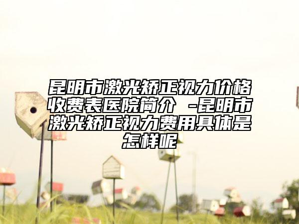 昆明市激光矯正視力價(jià)格收費(fèi)表醫(yī)院簡(jiǎn)介 -昆明市激光矯正視力費(fèi)用具體是怎樣呢