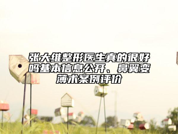 張大維整形醫(yī)生真的很好嗎基本信息公開、鼻翼變薄術案例評價