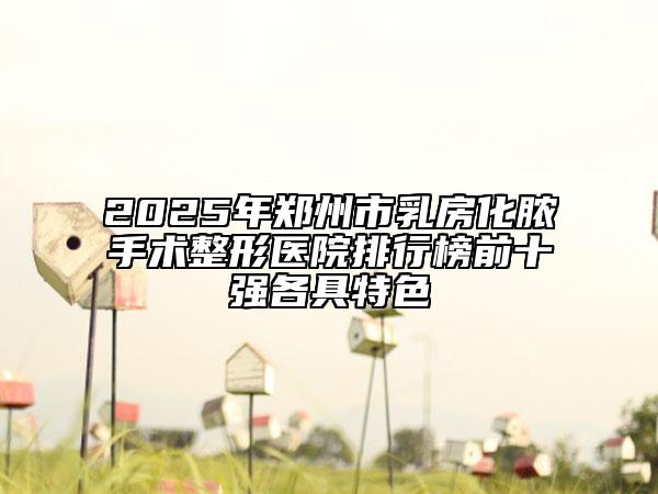 2025年鄭州市乳房化膿手術(shù)整形醫(yī)院排行榜前十強(qiáng)各具特色