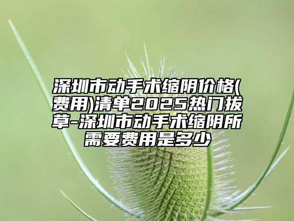 深圳市動手術(shù)縮陰價格(費用)清單2025熱門拔草-深圳市動手術(shù)縮陰所需要費用是多少