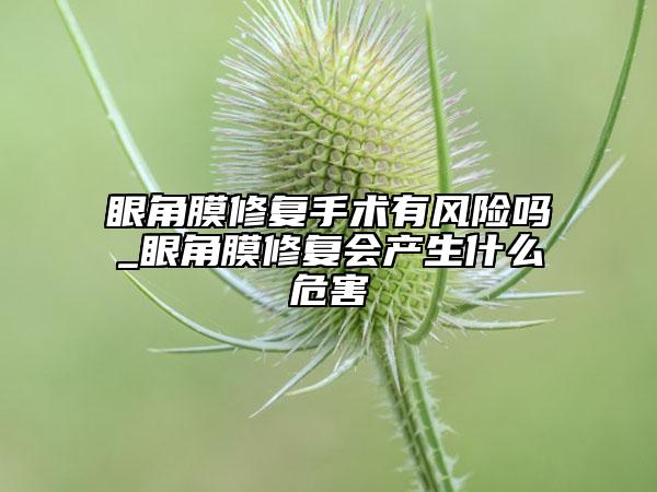 眼角膜修復(fù)手術(shù)有風(fēng)險嗎_眼角膜修復(fù)會產(chǎn)生什么危害