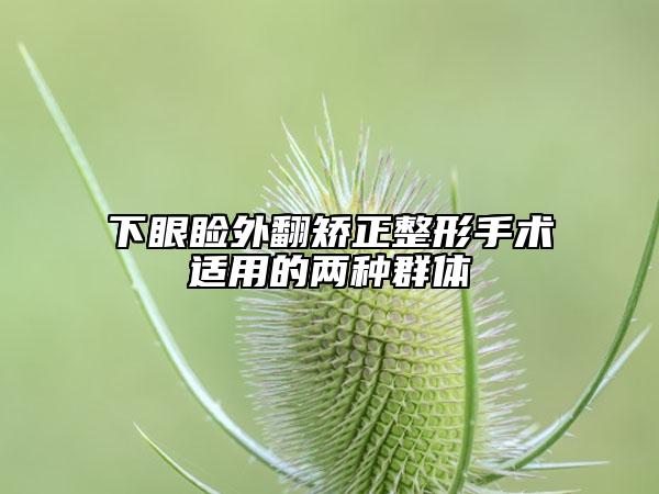 下眼瞼外翻矯正整形手術適用的兩種群體