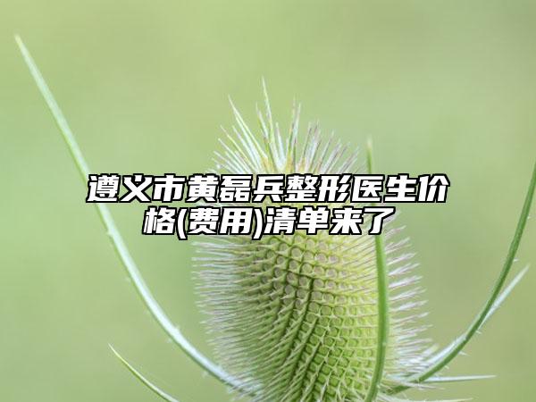 遵義市黃磊兵整形醫(yī)生價格(費用)清單來了