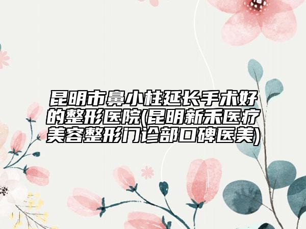 昆明市鼻小柱延長手術(shù)好的整形醫(yī)院(昆明新禾醫(yī)療美容整形門診部口碑醫(yī)美)