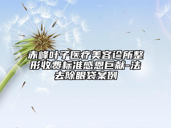 赤峰葉子醫(yī)療美容診所整形收費標準感恩巨獻-法去除眼袋案例