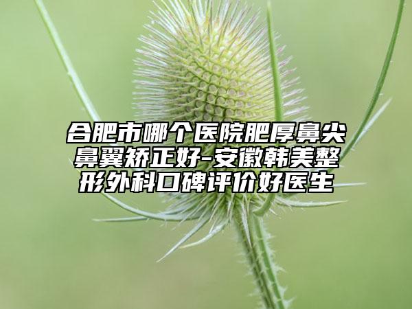 合肥市哪個(gè)醫(yī)院肥厚鼻尖鼻翼矯正好-安徽韓美整形外科口碑評(píng)價(jià)好醫(yī)生