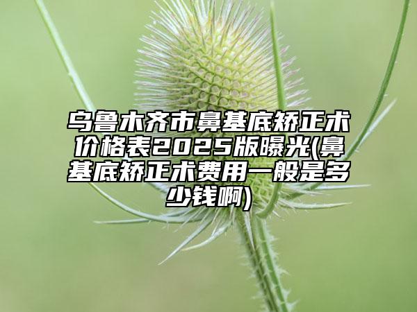 烏魯木齊市鼻基底矯正術(shù)價(jià)格表2025版曝光(鼻基底矯正術(shù)費(fèi)用一般是多少錢(qián)啊)