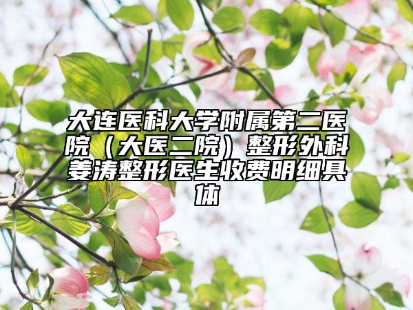 大連醫(yī)科大學(xué)附屬第二醫(yī)院（大醫(yī)二院）整形外科姜濤整形醫(yī)生收費(fèi)明細(xì)具體