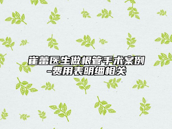 崔蕾醫(yī)生做根管手術(shù)案例-費(fèi)用表明細(xì)相關(guān)