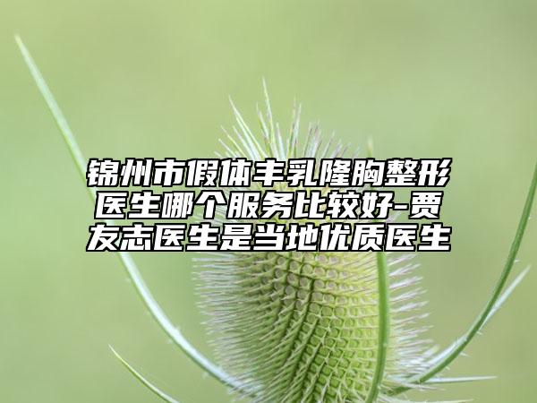 錦州市假體豐乳隆胸整形醫(yī)生哪個服務比較好-賈友志醫(yī)生是當?shù)貎?yōu)質醫(yī)生