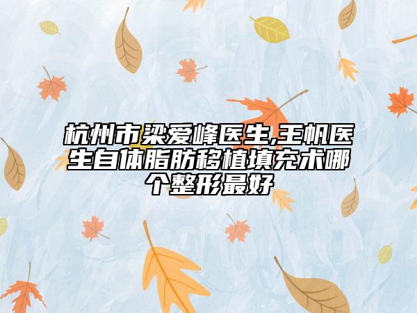 杭州市梁愛(ài)峰醫(yī)生,王帆醫(yī)生自體脂肪移植填充術(shù)哪個(gè)整形最好