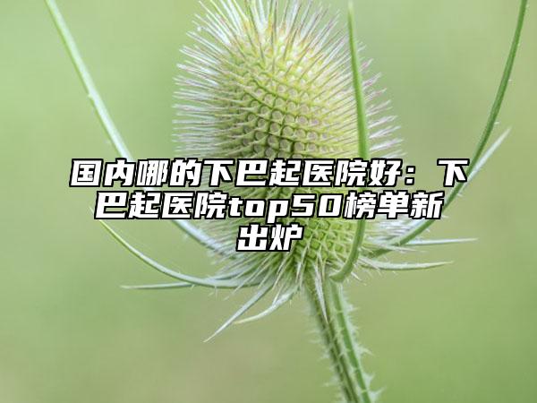 國(guó)內(nèi)哪的下巴起醫(yī)院好：下巴起醫(yī)院top50榜單新出爐