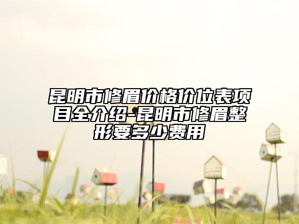昆明市修眉價(jià)格價(jià)位表項(xiàng)目全介紹-昆明市修眉整形要多少費(fèi)用