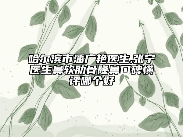 哈爾濱市潘廣艷醫(yī)生,張寧醫(yī)生鼻軟肋骨隆鼻口碑橫評(píng)哪個(gè)好