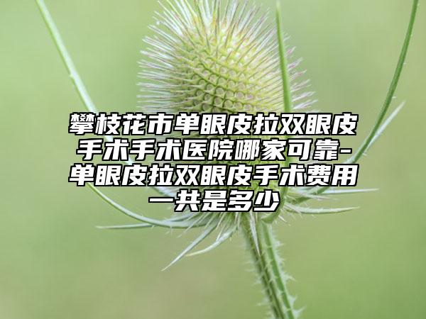 攀枝花市單眼皮拉雙眼皮手術(shù)手術(shù)醫(yī)院哪家可靠-單眼皮拉雙眼皮手術(shù)費(fèi)用一共是多少