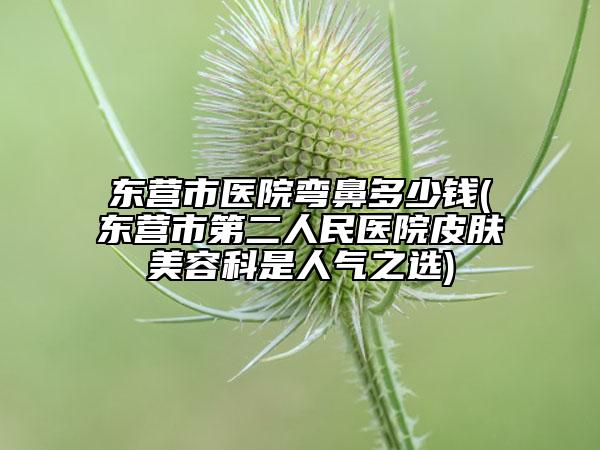 東營市醫(yī)院彎鼻多少錢(東營市第二人民醫(yī)院皮膚美容科是人氣之選)