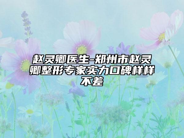 趙靈卿醫(yī)生-鄭州市趙靈卿整形專家實(shí)力口碑樣樣不差