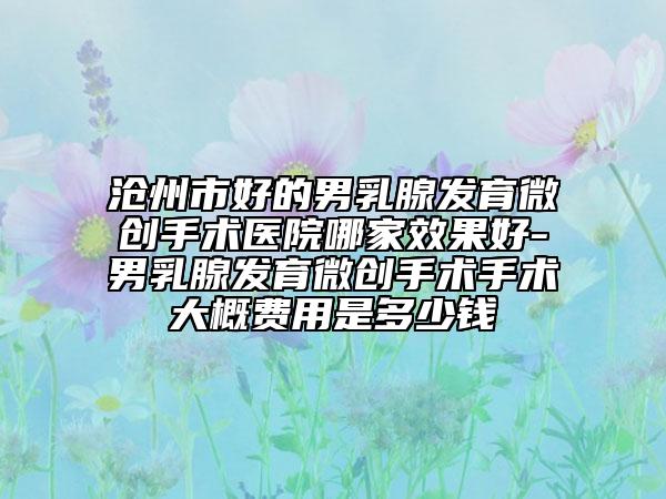 滄州市好的男乳腺發(fā)育微創(chuàng)手術(shù)醫(yī)院哪家效果好-男乳腺發(fā)育微創(chuàng)手術(shù)手術(shù)大概費(fèi)用是多少錢