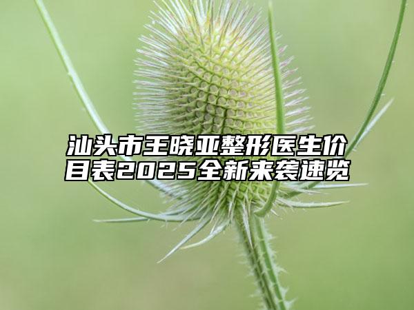 汕頭市王曉亞整形醫(yī)生價目表2025全新來襲速覽