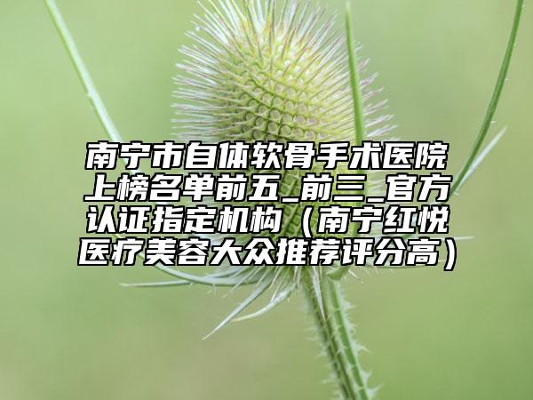 南寧市自體軟骨手術(shù)醫(yī)院上榜名單前五_前三_官方認證指定機構(gòu)（南寧紅悅徠醫(yī)療美容大眾推薦評分高）