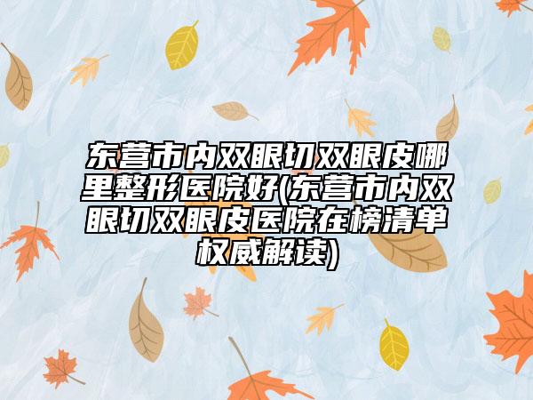 東營市內(nèi)雙眼切雙眼皮哪里整形醫(yī)院好(東營市內(nèi)雙眼切雙眼皮醫(yī)院在榜清單權(quán)威解讀)