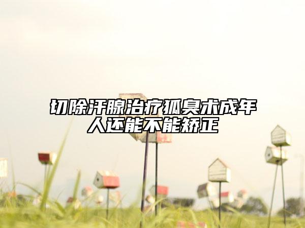 切除汗腺治療狐臭術(shù)成年人還能不能矯正