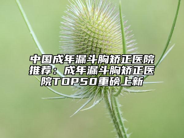 中國成年漏斗胸矯正醫(yī)院推薦：成年漏斗胸矯正醫(yī)院TOP50重磅上新