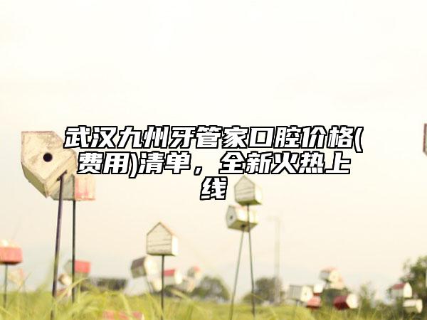 武漢九州牙管家口腔價格(費用)清單，全新火熱上線