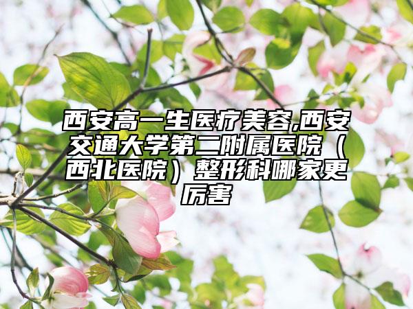 西安高一生醫(yī)療美容,西安交通大學第二附屬醫(yī)院（西北醫(yī)院）整形科哪家更厲害