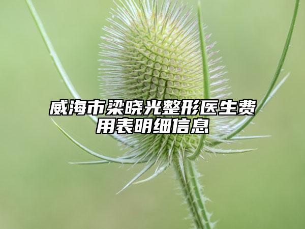 威海市梁曉光整形醫(yī)生費(fèi)用表明細(xì)信息