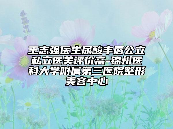 王志強醫(yī)生尿酸豐唇公立私立醫(yī)美評價高-錦州醫(yī)科大學附屬第三醫(yī)院整形美容中心