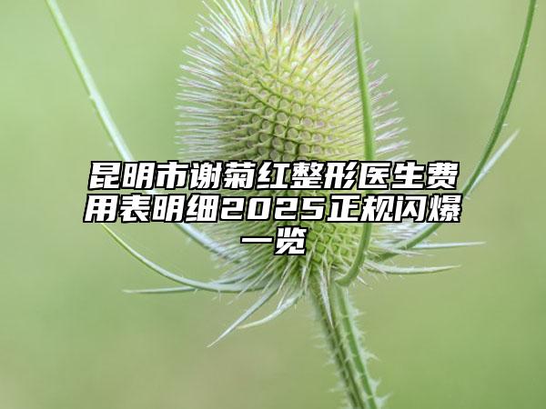 昆明市謝菊紅整形醫(yī)生費(fèi)用表明細(xì)2025正規(guī)閃爆一覽
