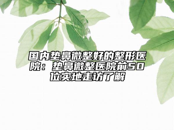 國內(nèi)墊鼻微整好的整形醫(yī)院：墊鼻微整醫(yī)院前50位實地走訪了解