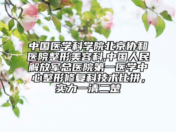 中國醫(yī)學(xué)科學(xué)院北京協(xié)和醫(yī)院整形美容科,中國人民解放軍總醫(yī)院第一醫(yī)學(xué)中心整形修復(fù)科技術(shù)比拼，實力一清二楚