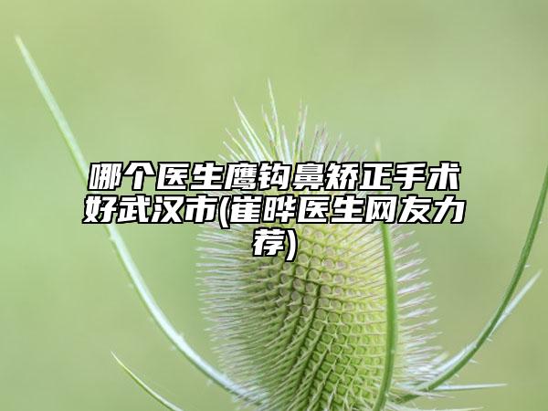 哪個醫(yī)生鷹鉤鼻矯正手術(shù)好武漢市(崔曄醫(yī)生網(wǎng)友力薦)