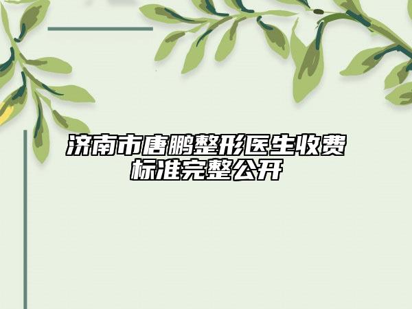 濟(jì)南市唐鵬整形醫(yī)生收費(fèi)標(biāo)準(zhǔn)完整公開