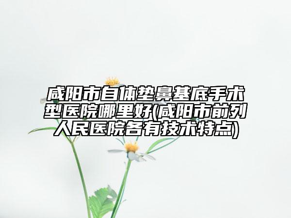 咸陽(yáng)市自體墊鼻基底手術(shù)型醫(yī)院哪里好(咸陽(yáng)市前列人民醫(yī)院各有技術(shù)特點(diǎn))