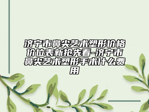 濟寧市鼻尖藝術(shù)塑形價格價位表新?lián)屜瓤?濟寧市鼻尖藝術(shù)塑形手術(shù)什么費用