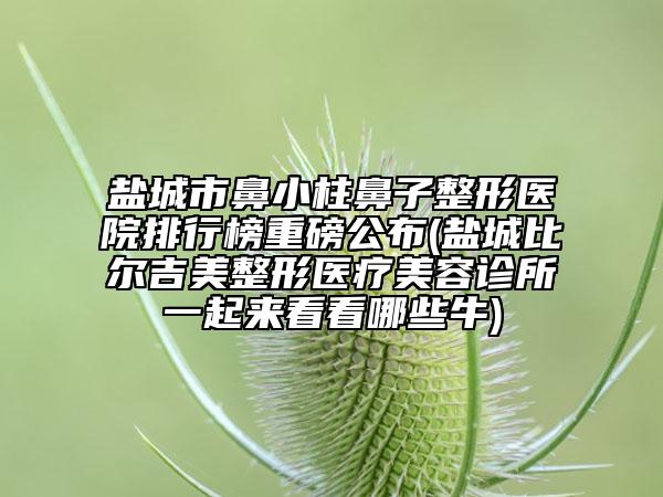 鹽城市鼻小柱鼻子整形醫(yī)院排行榜重磅公布(鹽城比爾吉美整形醫(yī)療美容診所一起來(lái)看看哪些牛)