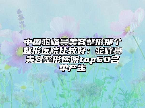 中國駝峰鼻美容整形那個整形醫(yī)院比較好：駝峰鼻美容整形醫(yī)院top50名單產(chǎn)生