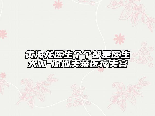 黃海龍醫(yī)生個個都是醫(yī)生大咖-深圳美萊醫(yī)療美容