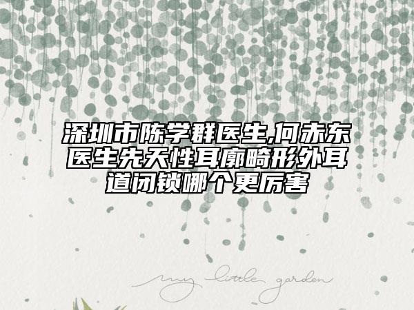深圳市陳學(xué)群醫(yī)生,何赤東醫(yī)生先天性耳廓畸形外耳道閉鎖哪個更厲害