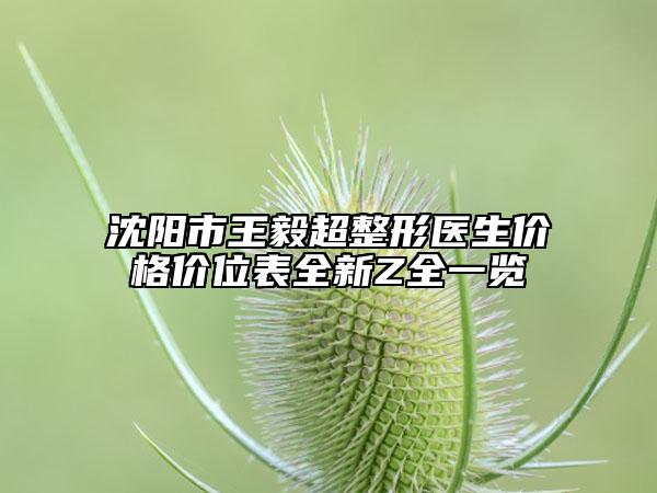 沈陽市王毅超整形醫(yī)生價格價位表全新Z全一覽