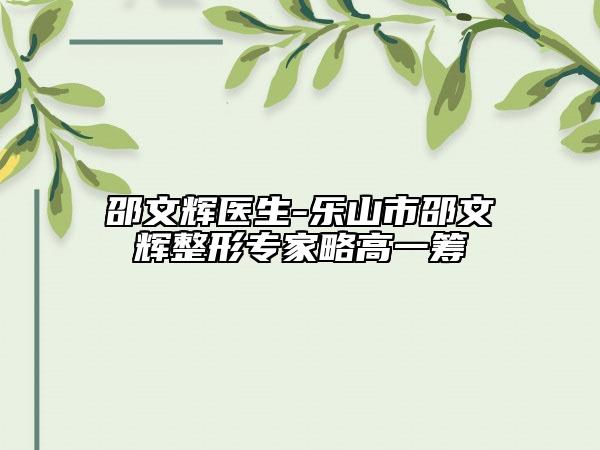 邵文輝醫(yī)生-樂山市邵文輝整形專家略高一籌