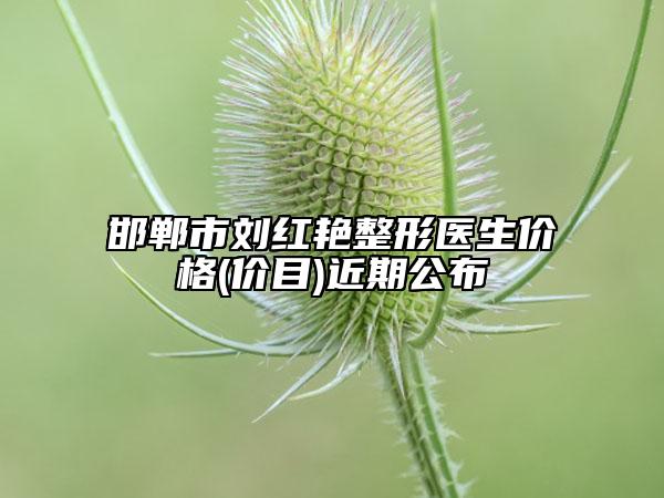 邯鄲市劉紅艷整形醫(yī)生價(jià)格(價(jià)目)近期公布