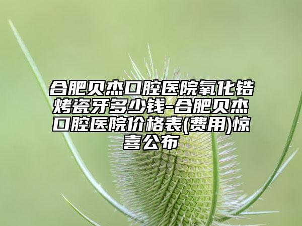 合肥貝杰口腔醫(yī)院氧化鋯烤瓷牙多少錢-合肥貝杰口腔醫(yī)院價(jià)格表(費(fèi)用)驚喜公布