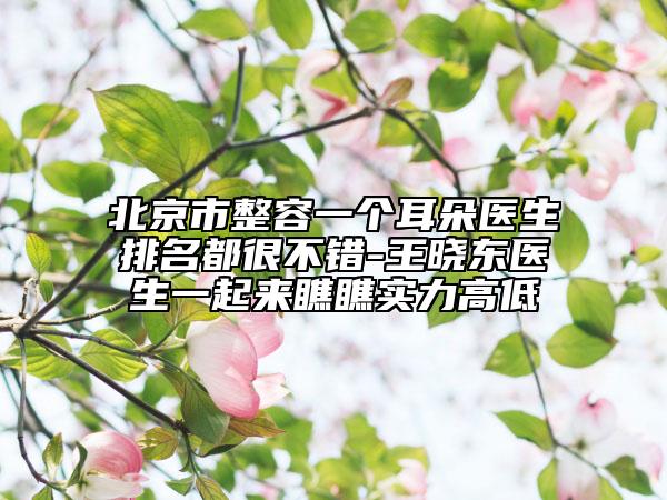 北京市整容一個耳朵醫(yī)生排名都很不錯-王曉東醫(yī)生一起來瞧瞧實力高低