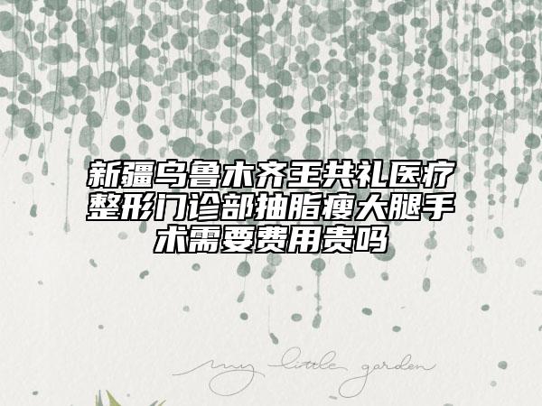 新疆烏魯木齊王共禮醫(yī)療整形門(mén)診部抽脂瘦大腿手術(shù)需要費(fèi)用貴嗎